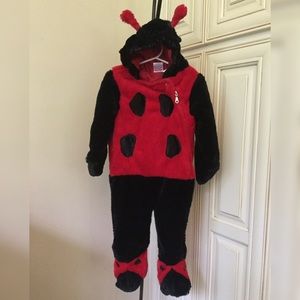 Ladybug Halloween Costume  9-18 Months